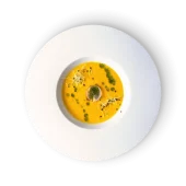 DSCF1729